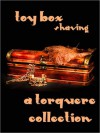 Toy Box: Shaving (Includes Hammer, #7.5) - M. Rode, Lee Benoit, Winnie Jerome, Sean Michael