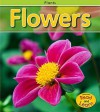 Flowers, Vol. 1 - Patricia Whitehouse