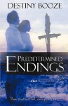 Predetermined Endings - Destiny Booze