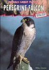 Peregrine Falcon - Mike Unwin, Marianne Taylor