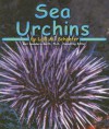 Sea Urchins - Lola M. Schaefer