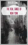 The Real Gangs of New York - Wallace Edwards