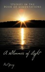 A Glimmer of Light: Studies in the Book of Lamentations - Paul Young