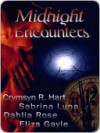 Midnight Encounters (Anthology) - Crymsyn Hart, Sabrina Luna, Dahlia Rose, Eliza Gayle