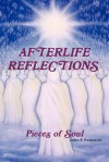 Afterlife Reflections - John Peterson