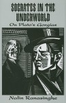 Socrates in the Underworld: On Plato's Gorgias - Nalin Ranasinghe, Peter Augustine Lawler