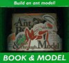 The Ant Book and See-Through Model - Luann Colombo