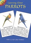 Learning About Parrots - Lisa Bonforte