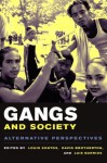 Gangs and Society: Alternative Perspectives - Louis Kontos, David C. Brotherton, Luis Barrios