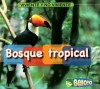 Bosque Tropical - Cassie Mayer