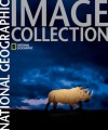 National Geographic Image Collection - National Geographic Society, Michelle Delaney, Leah Bendavid-Val