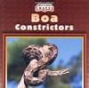 Boa Constrictors - Valerie J. Weber