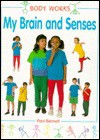 My Brain and Senses - Paul Bennett