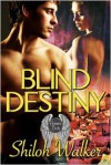 Blind Destiny - Shiloh Walker