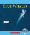 Blue Whales - Ruth Bjorklund