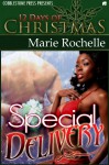 Special Delivery (Special Delivery #1) - Marie Rochelle