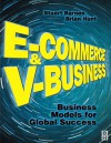 E-Commerce and V-Business: Business Models for Global Success - Stuart Barnes, Brian Hunt