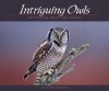 Intriguing Owls: Extraordinary Images and Insight - Stan Tekiela