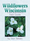 Wildflowers Of Wisconsin - Stan Tekiela