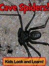 Cave Spiders! Learn About Cave Spiders and Enjoy Colorful Pictures - Look and Learn! (50+ Photos of Cave Spiders) - Becky Wolff