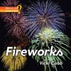 Fireworks - Vicki Cobb