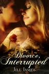 Divorce, Interrupted (The Lake Willowbee series, #1) - Jill James