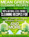 Mean Green Cleaning Recipes - David Benjamin, Kristin Cole