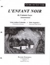 L'Enfant Noir: De Camara Laye - Irène Assiba d'Almeida, Elsie Augustave