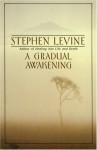 A Gradual Awakening - Stephen Levine, Ram Dass