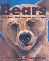 Bears: Polar Bears, Black Bears and Grizzly Bears - Deborah Hodge, Pat Stephens