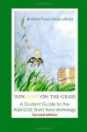 Sunlight on the Grass: A Student Guide to the Aqa Gcse Short Story Anthology - Natalie Twigg, David Wheeler