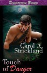 Touch of Danger - Carol A. Strickland