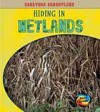 Hiding in Wetlands - Deborah Underwood