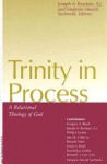 Trinity in Process - Joseph A. Bracken, Marjorie Hewitt Suchocki, John B. Cobb Jr., David Ray Griffin, Lewis S. Ford, Gregory A. Boyd, Philip Clayton, Roland Faber, Bernard J. Lee, Marjorie Hewitt Suchoki