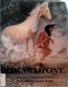 The Mud Pony - Caron Lee Cohen, Shonto Begay