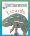 The Secret World of Lizards - Anna Claybourne