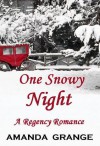 One Snowy Night - Amanda Grange