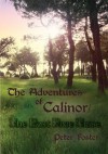 The Adventures of Calinor / The Lost Pixie Tribe - Peter Foster