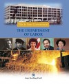 The Department of Labor - Amy Sterling Casil