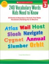 240 Vocabulary Words Kids Need to Know: Grade 3: 24 Ready-to-Reproduce Packets That Make Vocabulary Building Fun & Effective - Linda Beech