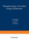 Pathophysiology of Cerebral Energy Metabolism - B.B. Mrsulja, Lj.M. Rakić, I. Klatzo, Maria Spatz