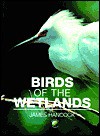 Birds of the Wetlands - James Hancock