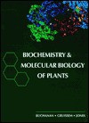 Biochemistry & Molecular Biology Of Plants - Russell L. Jones, Bob B. Buchanan