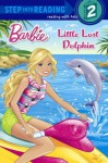 Little Lost Dolphin - Kristen L. Depken, Jiyoung An