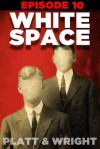 WhiteSpace: Episode 10 - Sean Platt, David W. Wright