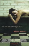 You Are Not A Stranger Here? - Adam Haslett