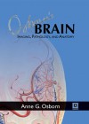 Osborn's Brain: Imaging, Pathology, and Anatomy - Anne G. Osborn