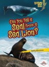 Can You Tell a Seal from a Sea Lion? - Buffy Silverman