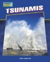 Tsunamis - John Hamilton