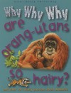 Why Why Why Are Orang-Utans So Hairy? - Camilla De la Bédoyère